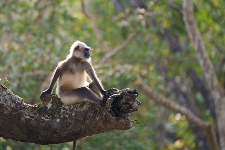 Курсы маркетинга и дата-аналитики
